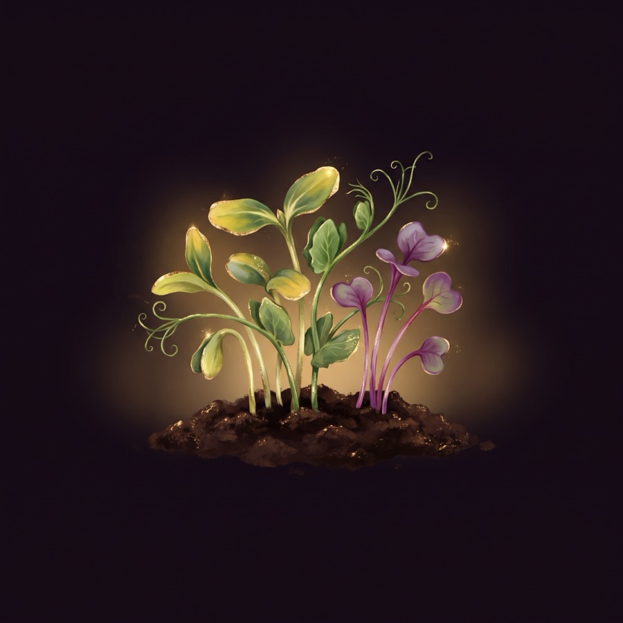 Microgreen sprouts glowing in a mound of soil